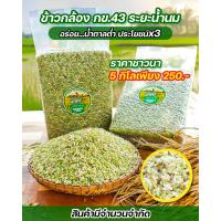 ราคา ข้าวกล้อง กข 43 น้ำนม ตรามีสุข 5 กิโล น้ำตาลต่ำ ซีลสูญญากาศ (24390871645)