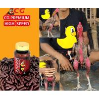 ราคา ไฮสปีด CG สำหรับไก่ชน จำหน่ายของแท้เท่านั้น รับประกันคืนเงิน (21343118813)