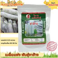 ราคา แฟงงาช้าง แฟงบางระจัน 50 100 ก เมล็ดพันธุ์ ฟัก แฟง ลูกใหญ่ งอกง่าย ผลสีเขียวอ่อน ทรงกระบอก (1266438457)