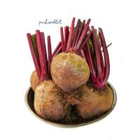 ราคา Beetroot บีทรูทสด หัวบีทรูท 1 kg (23616285952)