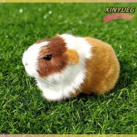 ราคา XINYUEG ตุ๊กตาขนแกะรูปหนูตะเภาตุ๊กตาหนูแฮมสเตอร์ของเล่นตุ๊กตายัดไส้รูปสัตว์นุ่มนิ่มสำหรับเป็นของขวัญวันเกิดสำหรับเด็กๆ (22979503033)