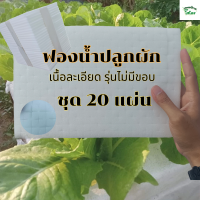 ราคา ฟองน้ำปลูกผัก ฟองน้ำปลูกผักไฮโดรโปนิกส์ ชุด20แผ่น ฟองน้ำปลูกผักสลัด รุ่นไม่มีขอบ 96ช่องปลูกเนื้อละเอียด ใช้สำหรับปลูกผักไฮโดรโปนิกส์ (24437733838)