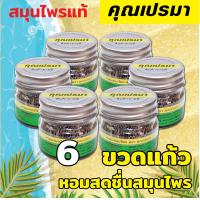 ราคา ยาดมสมุนไพรคุณเปรมา แพ็ค 6 ขวดแก้ว สะอาดปลอดภัย กลิ่นหอมสดชื่นสมุนไพร อย G 252 55 (17074350059)