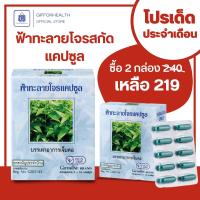 ราคา กิฟฟารีน ฟ้าทะลายโจร แคปซูล ยาแผนโบราณ สมุนไพร ฟ้าทลายโจรแคปซูล ฟ้าทะลายโจรแท้ สมุนไพรไทย สมุนไพรกิฟฟารีน Giffarine (17547456874)