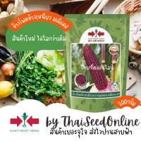 ราคา Sorndang ศรแดง EWCOM 200กรัม EXP 2 2026 ใหม่ เมล็ดพันธุ์ข้าวโพดข้าวเหนียวหวานสีม่วงล้วน มณีแดง 200 กรัม ตราศรแดง (19029312280)