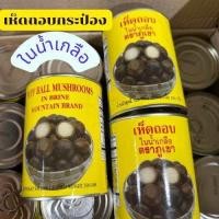 ราคา เห็ดถอบเห็ดเผาะในน้ำเกลือ เห็ดถอบกระป๋อง ขนาด 500 เนื้อ 250 น้ำ 250 เห็ดถอบ เห็ดถอบกระป๋อง ตราภูเขา เห็ดเผาะ เห็ด เห็ดเผาะกระป๋อง (22778122046)