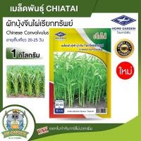 ราคา CHIATAI เมล็ดพันธุ์ผักบุ้งจีน เรียวไผ่ มหาทรัพย์ ขนาด 1kg ระยะเก็บเกี่ยว 20 25 วัน ลำต้นตรง น้ำหนักดี โตดี ผักบุ้ง ผักบุ้งจีน เจียไต๋ Chinese Convolvulus (4800340128)