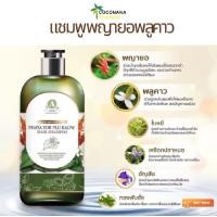 ราคา แชมพูพญายอพลูคาว แก้ผมร่วง ขนาด250ml (23817317051)