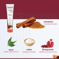 ราคา Himalaya BOTANIQUE Complete Care Toothpaste Simply Cinnamon 150g ยาสีฟัน (22252425458)