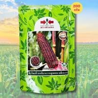 ราคา ข้าวโพดมณีแดง เมล็ดข้าวโพดข้าวเหนียวหวานลูกผสม ตราศรแดง ขนาด200 กรัม (22419527775)