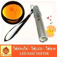 ราคา ไฟส่องไข่ ไฟLED ไฟฉาย ไฟฉายส่องไข่ ไฟเช็คเชื้อ ไข่นก ไข่ไก่ (842256983)