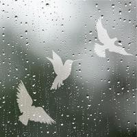 ราคา Bird Anti Collision Window Stickers White Removable Electrostatic Glass Decorative Stickers Warning (20767505197)