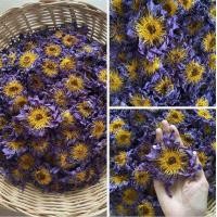ราคา Blue lotus flowers ชาดอกบัวสีน้ำเงิน ออแกนิก ปริมาณ 100 กรัม น้ำหนักเบาได้เยอะ (22062851010)