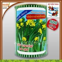 ราคา เมล็ดพันธุ์ ผักกาดกวางตุ้ง กวางตุ้งดอกฮ่องกง อินทนนท์ ขนาด 500 กรัม เมล็ดกวางตุ้งดอก เมล็ดพันธุ์ผักสวนครัว ตราปลาทอง (13675974388)