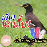 ราคา เสียงต่อนกเอี้ยง เมมเสียงนกเอี้ยง แฟลชไดร์ฟเสียงต่อนกเอี้ยง เสียงนกเอี้ยง มีเก็บเงินปลายทาง (10116937627)