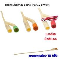 ราคา สายสวนปัสสาวะ2ทาง Foley 2 way ยกกล่อง 10 เส้น ส่งด่วน มีเก็บปลายทาง (21424044870)