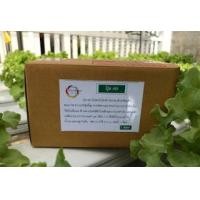 ราคา ปุ๋ย AB ขนาด 5 ลิตร พร้อมส่ง เหล็กแดง เหล็กเหลือง ไม่เกิน 3 ชุดต่อ 1 คำสั่งซื้อ น้ำนิ่ง น้ำวน ไฮโดรโปนิกส์ ผักสลัด ผักไทย ขนาด 5 ลิตร (7931959091)