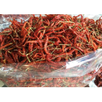 ราคา จำนวน200 เม็ด ซอง ซื้อ 3แถม1 เมล็ดพันธุ์พริกยอดสน พริกยาว ผลดก มีคุ่มือการเพาะปลูก (21764170804)