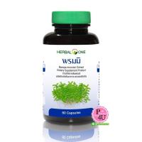 ราคา Herbal One Bacopa เฮอร์บัลวัน พรมมิ 60 แคปซูล (5426140530)