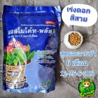 ราคา ปุ๋ยออสโมโค้ท ละลายช้า6เดือน สูตรเร่งดอก12 25 6เม็ดสีเหลืองขนาด1กิโลกรัม (16614405644)