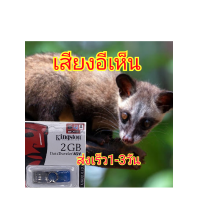 ราคา เสียงอีเห็น (22128850905)