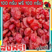 ราคา ส่งฟรี ซื้อ 1 แถม 1 ขนาด 500 กรัม สตอเบอรี่อบแห้ง กินเจ ไม่มีน้ำตาล Dried Strawberry สตรอเบอรี่ มีให้เลือก 500 ฟรี 500 กรัม 100 ฟรี 10กรัม สตรอเบอร์รี่ สตรอเบอรี่อบแห้ง สตรอเบอร์รี่อบแห้ง ผลไม้อบแห้ง 
