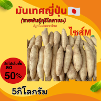 ราคา มันหวานญี่ปุ่น10กิโลกรัม มันเทศหวานอร่อย กินเพลิน แต่น้ำตาลต่ำ มันหวานญี่ปุ่น เบนิฮารุกเลือกได้1 10กิโลกรัมปลูกในไทยและต่างประเทศ ไทยเนื้อออกส้ม นอกเนื้อออกเหลือง (23676044401)