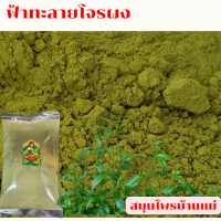 ราคา ฟ้าทะลายโจรผง 100 บรรจุ 100กรัม 250กรัม 500กรัม 1กิโลกรัม (23044171514)