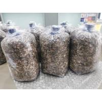 ราคา สุดยอดเชื้อเห็ด เชื้อเห็ดฟาง แพ้ค5ก้อน ก้อนเห็ด เห็ดฟาง Straw mushroom pack5 (13561376438)