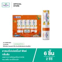 ราคา Peppermint Field Orange Inhaler Gift Set ยาดมเป๊ปเปอร์มิ้นท์ ฟิลด์ แบล็คอินเฮเลอร์ 2 ซีซี 1 กล่อง 6 ชิ้น (23688074284)