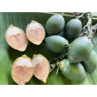 ราคา หมากสด 1 ชุด ชุด 30 ลูก หมากเคี้ยว หมากอ่อนจากสวนจากนครศรีธรรมราช หมาก ขายเป็นลูก (22593634712)