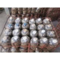 ราคา เชื้อเห็ดฟางแพ้ค5ก้อน คุณภาพดีเชื้อเต็ม ก้อนเชื้อเห็ดฟาง straw mushroom เชื้อเห็ด เห็ดฟาง ก้อนเชื้อเห็ดฟาง (1484020681)