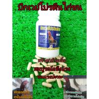 ราคา เวย์โปรตีนไก่ชน ขนาดบรรจุ 100 เม็ด เวย์โปรตีนไก่ ชุดเลี้ยงไก่ชน (24133651260)