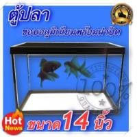ราคา ตู้ปลา ขอบอะลูมิเนียม พร้อมฝาปิดตะแกรง ขนาด 10 นิ้ว 12 นิ้ว 14 นิ้ว (17040542362)