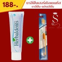 ราคา ยาสีฟันเฮอร์เบิลเดนท์ส Herbaldents Set คู่ใจ 1 ยาสีฟันเฮอร์เบิลเดนท์ส ยาสีฟัน (21407085493)
