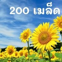 ราคา เมล็ดพันธุ์ ดอกทานตะวัน Sun flower seed ต้นสูงดอกใหญ่ 200 เมล็ด เมล็ดพันธุ์แท้นำเข้าจากต่างประเทศ (6106332431)