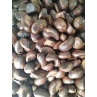 ราคา เมล็ดทุเรียนป่า เมล็ดทุเรียนนก จำนวน1กิโลกรัม (19529308031)