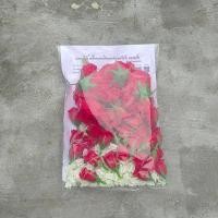 ราคา อุปกรณ์ทำเครื่องแขวนไทย พร้อมแพทเทิร์น เครื่องแขวนตาข่ายหน้าช้าง ไซส์แขวนหน้าต่าง ระเบียง อุปกรณ์งานฝีมือนักเรียน อุปกรณ์งานฝีมือ ไม่มีเชือกในชุด (24596366315)