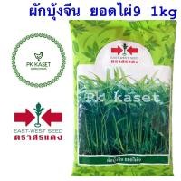 ราคา เมล็ดผักบุ้ง ยอดไผ่ 1 kg ผักบุ้ง ศรแดง ใบเรียวเล็ก สีเขียวสด ลำต้นตรง ไม่แตกแขนง ของใหม่ (19802872585)