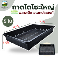ราคา ถาดไดโซะใหญ่ 5 ใบ ถาดเพาะต้นกล้า ถาดเพาะต้นอ่อน ถาดไดโซะ ถาดวางกระถาง กระถางแคคตัส (18870197719)