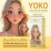 ราคา มีให้เลือก 14 เฉดสี โยโก๊ะ แฮร์ คัลเลอร์ ครีมYOKO สีย้อมผม Yk เพิ่มการบำรุงผม มีสารสกัดจากธรรมชาติ (24353587353)