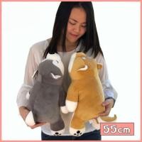 ราคา AILEBE ส่งเร็ว จากกทม ตุ๊กตา หมาชิบะ หมาไซบีเรียน 55cm ของขวัญวันเกิด ของขวัญให้แฟน วาเลนไทน์ ของขวัญปัจฉิม หมอนข้าง (23977365428)
