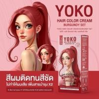 ราคา มีให้เลือก 14 เฉดสี โยโก๊ะ แฮร์ คัลเลอร์ ครีมYOKO สีย้อมผม Yk เพิ่มการบำรุงผม มีสารสกัดจากธรรมชาติ (24353587345)