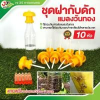 ราคา 10ชุด ชุดฝากับดักแมลงวันทอง แถมฟรีสารล่อแมลงวันทอง 5 หลอด ที่ล่อแมลงวันทอง กับดักแมลงวันทอง (22703964906)