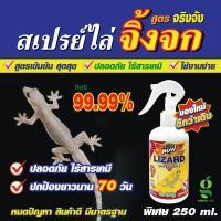 ราคา ไล่จิ้งจก ป้องกันจิ้งจก สเปร์ยไล่จิ้งจก (24429637670)