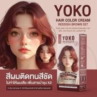 ราคา มีให้เลือก 14 เฉดสี โยโก๊ะ แฮร์ คัลเลอร์ ครีมYOKO สีย้อมผม Yk เพิ่มการบำรุงผม มีสารสกัดจากธรรมชาติ (24353587355)