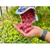 ราคา ของแท้มี อย ราคาส่ง ยาเบื่อหนู ยากำจัดหนู ยาฆ่าหนู เหยื่อหนู ขนาด 1 กิโลกรัม โบรมาดิโอการ์ด กำจัดหนู ฆ่าหนู (347672010)