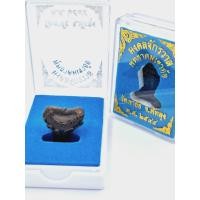 ราคา พระปิดตา มงคลจักรวาล พุทธาคมเขาอ้อ วัดเขาอ้อ จ พัทลุง พ ศ ๒๕๔๕ (22537133129)