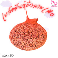 ราคา ถั่วลายเสือดิบแบบเมล็ด จังหวัดแม่ฮ่องสอน (24349471246)