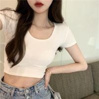 ราคา เสื้อยืดคอวีสีพื้นไหมพรมFree Size เสื้อยืดคอวีสีพื้นไหมพรม 9966 (19972419893)